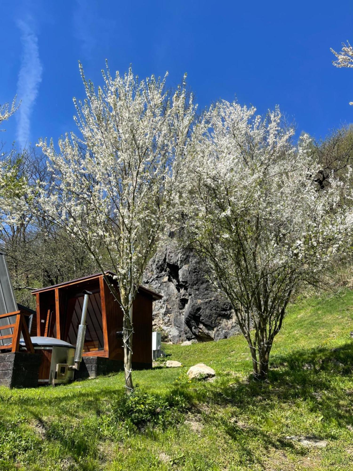 Valea Mosului - Cozy A Frame Villa Petrosani Exterior photo